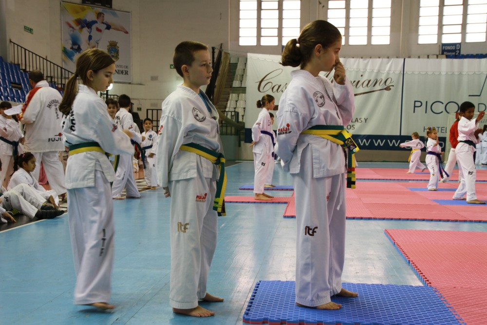 Taekwondo Dic 2016 (133).jpg